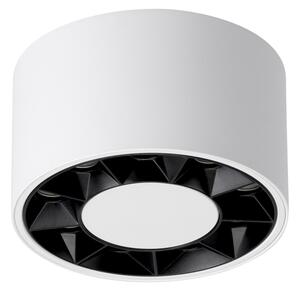 Stropné LED svietidlo Dio, 1x LED 10w, 4000k, w