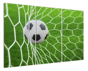 Futbalová lopta v sieti - obraz (Obraz 120x80cm)