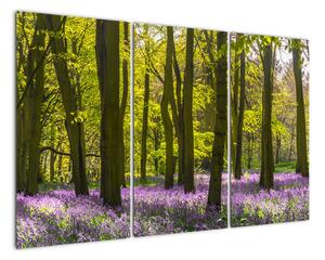 Obraz lesa (Obraz 120x80cm)