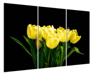 Tulipány - obraz (Obraz 120x80cm)