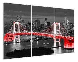 Nočná fotka mosta - obraz (Obraz 120x80cm)
