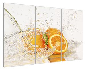 Pomaranče - obraz (Obraz 120x80cm)