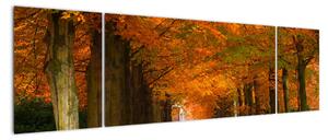 Obraz cesty lesom na jeseň (Obraz 170x50cm)