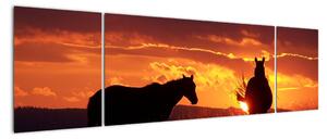 Obraz - kone pri západe slnka (Obraz 170x50cm)