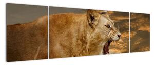 Obraz revúceho leva (Obraz 170x50cm)