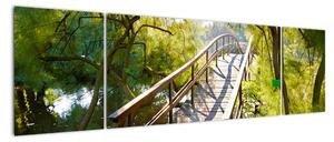 Moderné obraz - most cez vodu (Obraz 170x50cm)