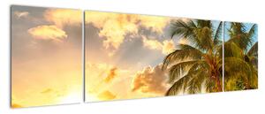 Obraz palmy na piesočnatej pláži (Obraz 170x50cm)