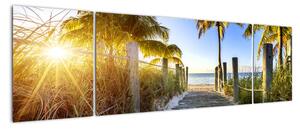Moderný obraz do bytu - tropický raj (Obraz 170x50cm)