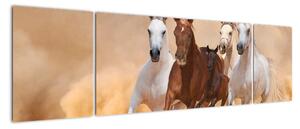Obrazy bežiacich koní (Obraz 170x50cm)