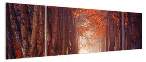 Jesenné les - obraz (Obraz 170x50cm)