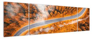 Cesta lesom - moderné obrazy na stenu (Obraz 170x50cm)