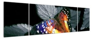 Motýľ na liste - obraz (Obraz 170x50cm)