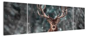 Obraz - jeleň v zime (Obraz 170x50cm)