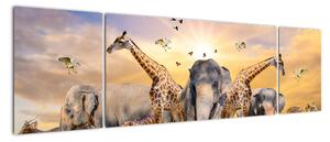 Obraz - safari (Obraz 170x50cm)