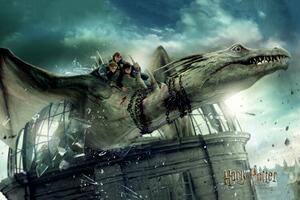 Plagát, Obraz - Harry Potter - Dragon ironbelly