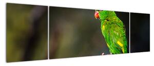 Obraz zeleného papagája (Obraz 170x50cm)