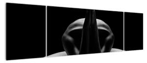 Obraz nahé ženy (Obraz 170x50cm)
