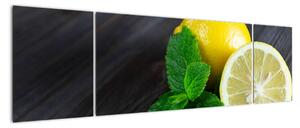 Obraz citrónu na stole (Obraz 170x50cm)