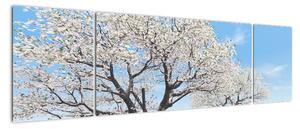 Obraz kvitnúceho stromu na jarné lúke (Obraz 170x50cm)
