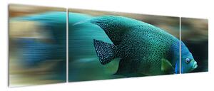 Obraz na stenu - ryby (Obraz 170x50cm)
