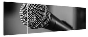 Obraz mikrofónu (Obraz 170x50cm)