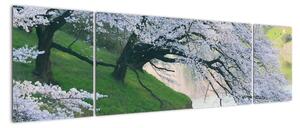 Obraz kvitnúcich stromov (Obraz 170x50cm)