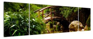 Obraz dreveného mosta (Obraz 170x50cm)