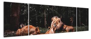 Obrazy - levy v lese (Obraz 170x50cm)