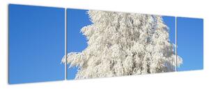 Zasnežený strom - obraz (Obraz 170x50cm)