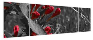 Červené kvety - moderné obrazy (Obraz 170x50cm)