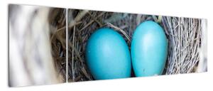 Obraz modrých vajíčok v hniezde (Obraz 170x50cm)