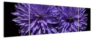 Obraz fialových kvetov (Obraz 170x50cm)