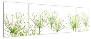 Obraz rastlín na bielom pozadí (Obraz 170x50cm)