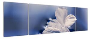 Obraz bieleho kvetu vo vode (Obraz 170x50cm)