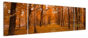 Obraz lesné cesty (Obraz 170x50cm)