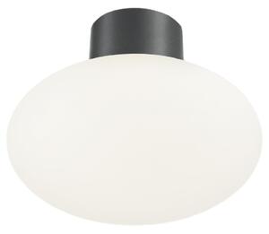 Ideal Lux - Vonkajšie stropné svietidlo CLIO 1xE27/42W/230V pr. 28 cm IP44 antracit