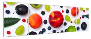 Moderné obrazy - ovocie (Obraz 170x50cm)