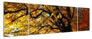 Obraz jesennej krajiny (Obraz 170x50cm)
