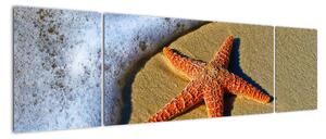 Obraz s morskou hviezdou (Obraz 170x50cm)