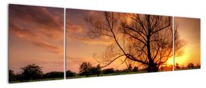 Západ slnka, obrazy (Obraz 170x50cm)