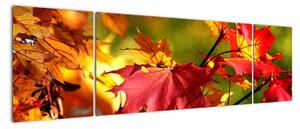 Jesenné lístie, obraz (Obraz 170x50cm)