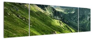Pohorie hôr - obraz na stenu (Obraz 170x50cm)