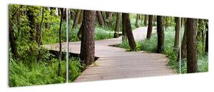 Cesta v lese - obraz (Obraz 170x50cm)