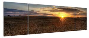 Západ slnka na poli - obraz na stenu (Obraz 170x50cm)