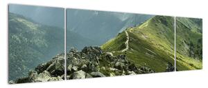 Hrebeň hôr - moderné obrazy (Obraz 170x50cm)