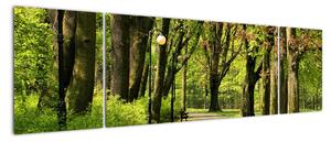 Cesta v parku - obraz (Obraz 170x50cm)