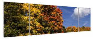 Jesenné stromy - obraz do bytu (Obraz 170x50cm)