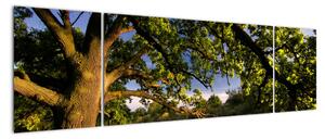 Obrázok stromu - moderné obrazy (Obraz 170x50cm)
