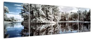 Zimná krajina - obrazy (Obraz 170x50cm)