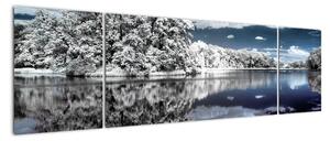 Zimná krajina - obraz (Obraz 170x50cm)